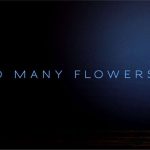 Bannner-Flowers_Mesa-de-trabajo-1-copia-14-min-scaled